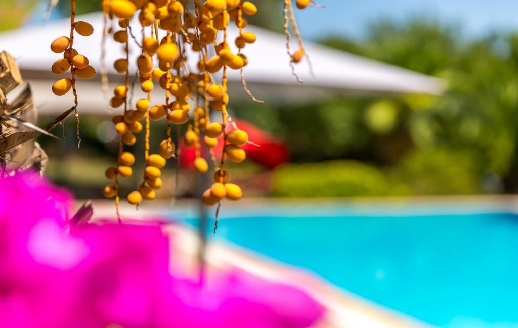 Marmaris Holiday Villas Экстерьер фото