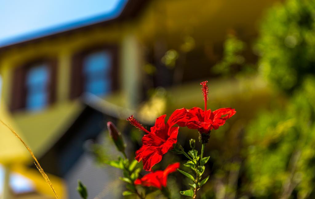 Marmaris Holiday Villas Экстерьер фото